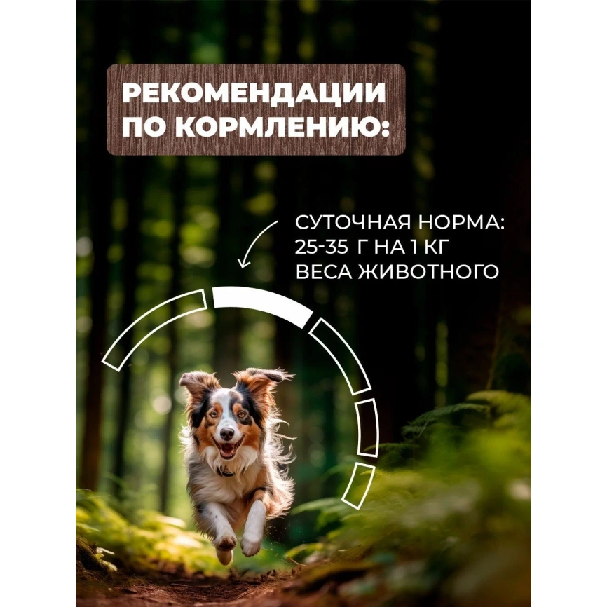 Влажный корм Родные корма Meat Assortment для собак, мясное ассорти в желе по-боярски, 410 г фото 5