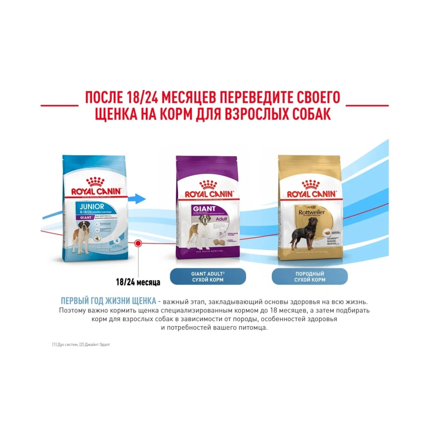 Сухой корм Royal Canin Giant Junior для щенков, 3,5 кг фото 14