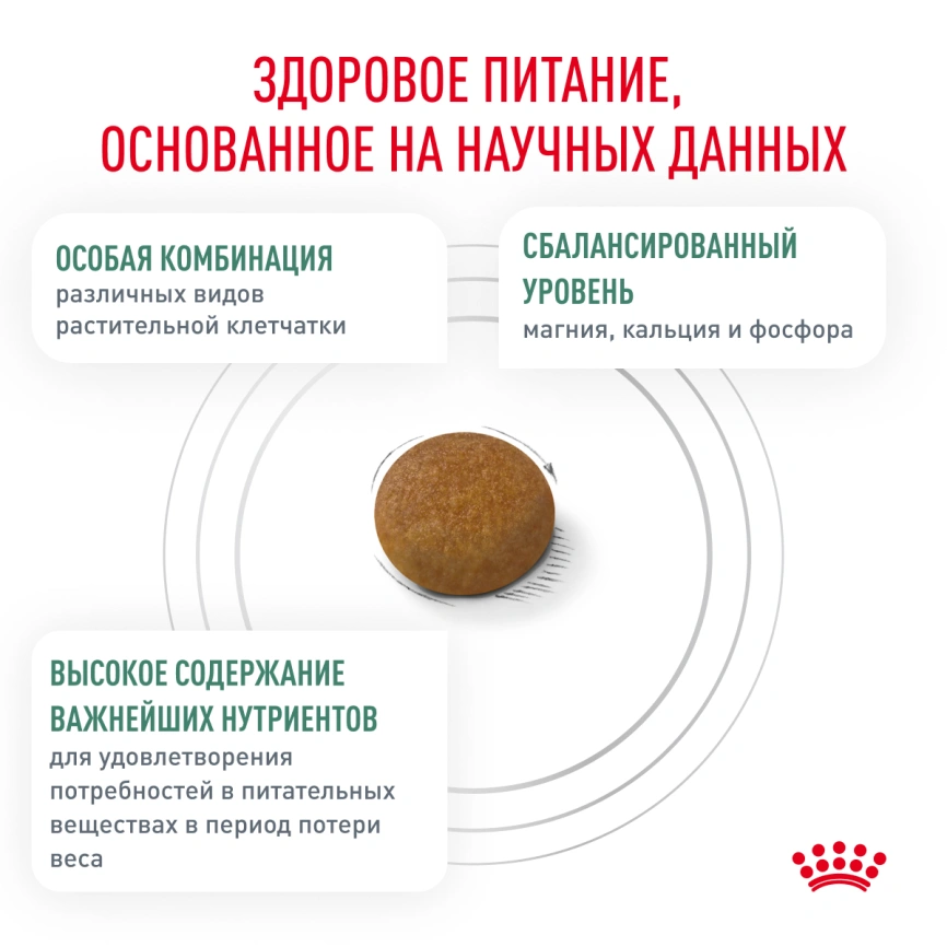 Сухой корм Royal Canin Satiety Small Dogs для собак мелких пород для снижение веса, 1,5 кг фото 4