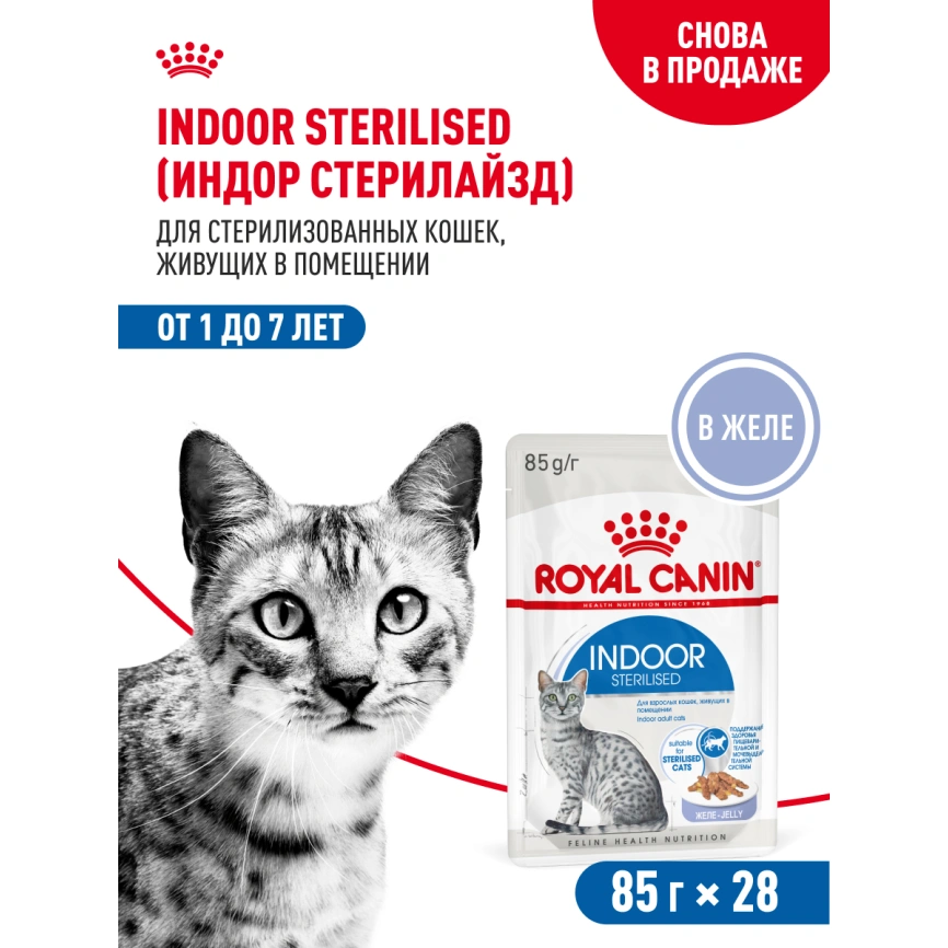 Влажный корм Royal Canin Indoor sterilised в желе для кошек, живущих в помещении, пауч, 85 г фото 17