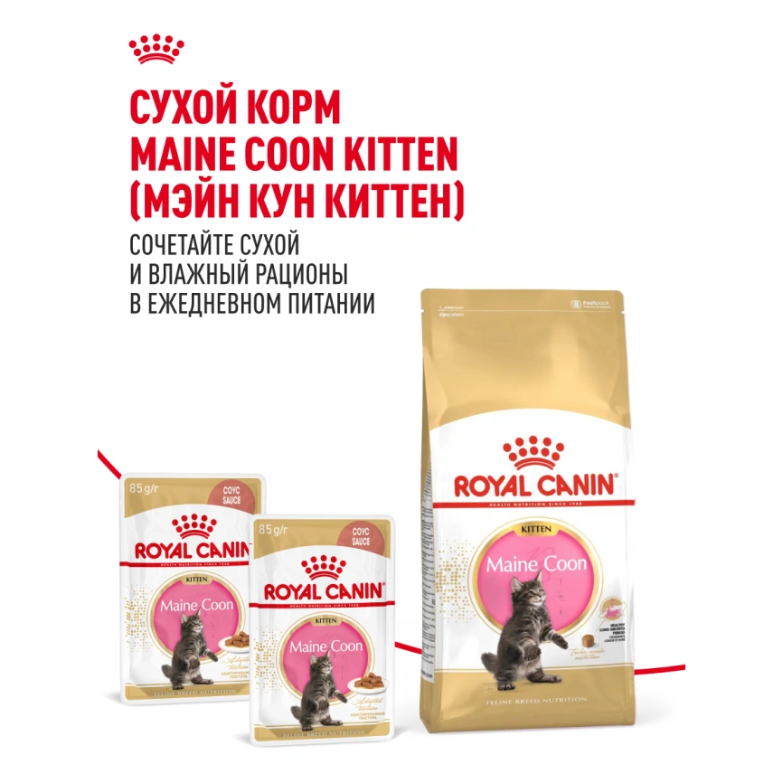 Влажный корм Royal Canin Maine Coon Kitten в соусе для котят породы мейн-кун и других крупных пород старше 3 месяцев, пауч, 85 г фото 15