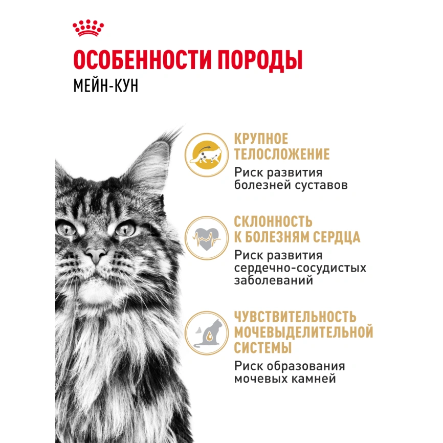 Сухой корм Royal Canin Maine Coon для кошек, 4 кг фото 23