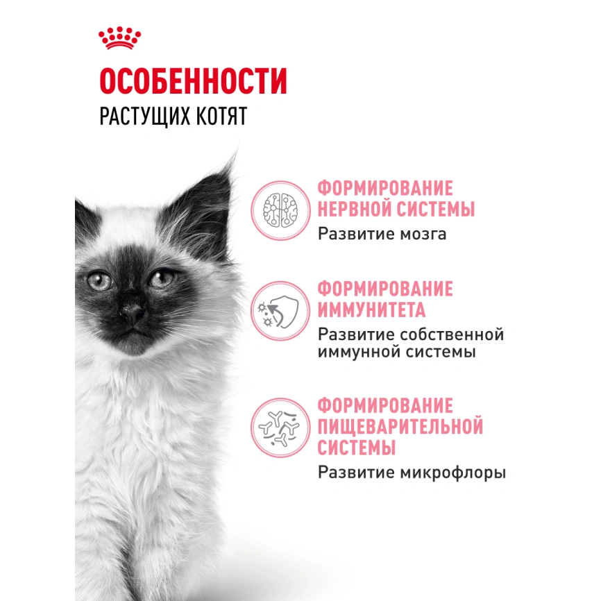Сухой корм Royal Canin Kitten для котят, 10 кг фото 21