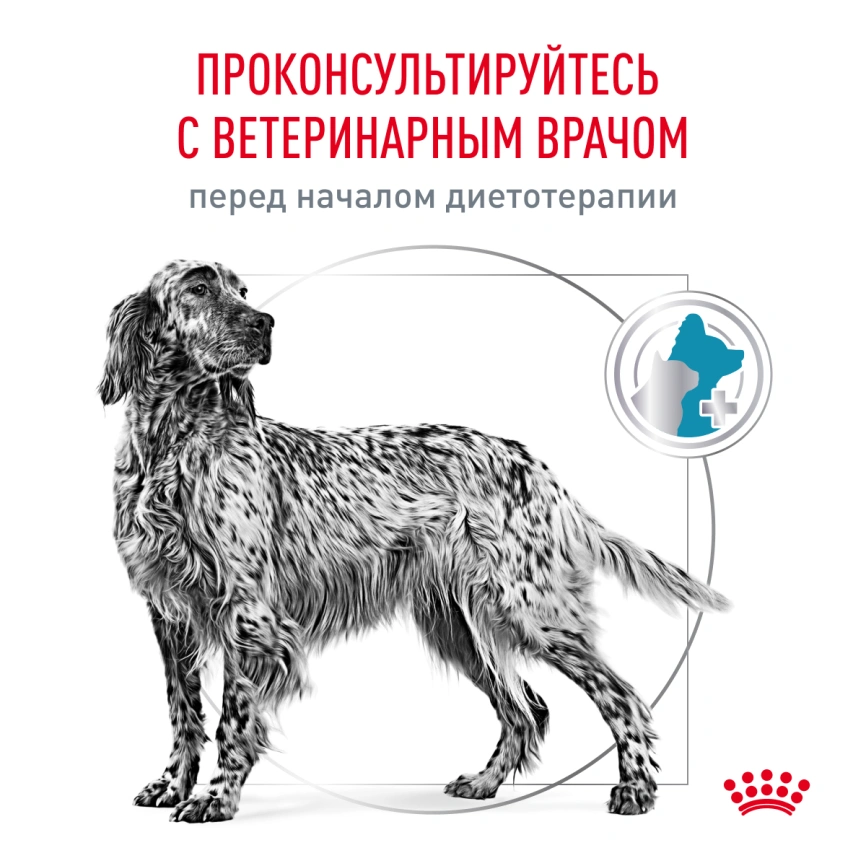 Сухой корм Royal Canin Hypoallergeniс для собак, 7 кг фото 7