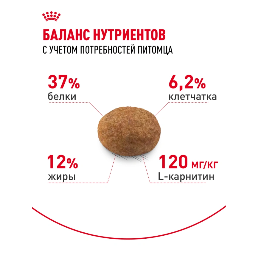 Сухой корм Royal Canin Sterilised для кастрированных котов и стерилизованных кошек, 4 кг фото 4