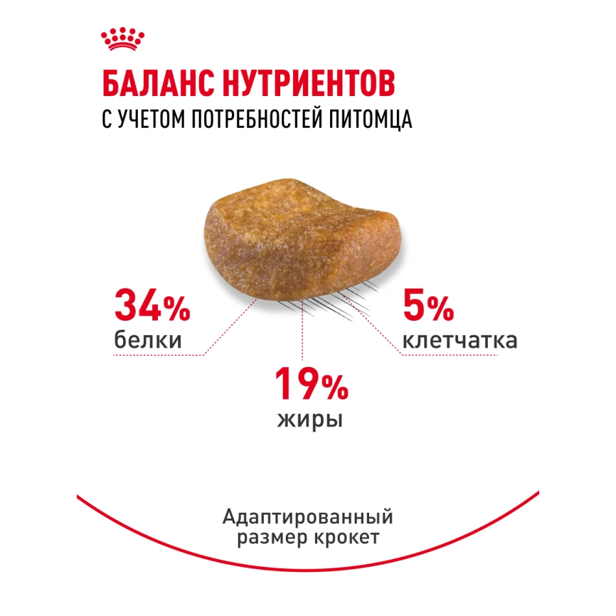 Сухой корм Royal Canin British Shorthair для кошек породы британская короткошерстная, 4 кг фото 22