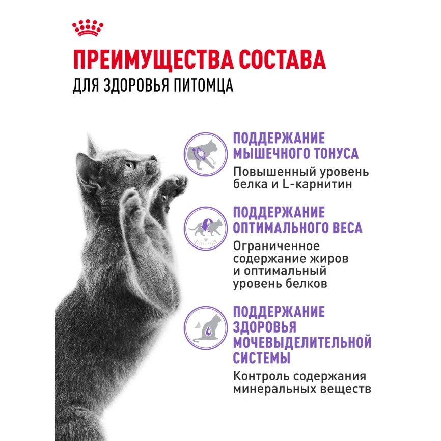 Сухой корм Royal Canin Sterilised для кастрированных котов и стерилизованных кошек, 4 кг фото 25