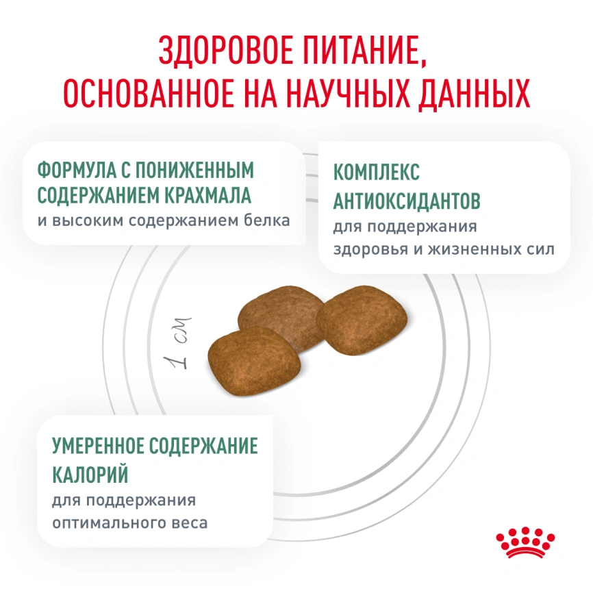 Сухой корм Royal Canin Diabetiс для собак, 12 кг фото 4