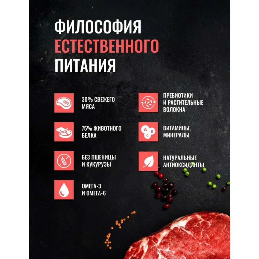 Сухой корм Одно Мясо Beef для взрослых собак всех пород, с говядиной, 800 г фото 2