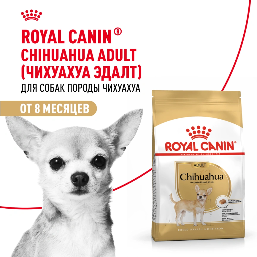 Сухой корм Royal Canin Chihuahua Adult для собак породы чихуахуа, 1,5 кг фото 15