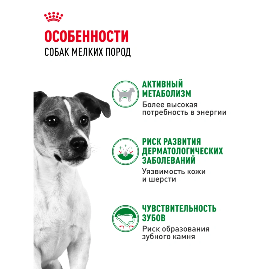 Сухой корм Royal Canin Mini Adult для взрослых собак, 2 кг фото 16