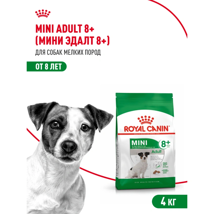 Сухой корм Royal Canin Mini Adult 8+ для пожилых собак, 4 кг фото 14