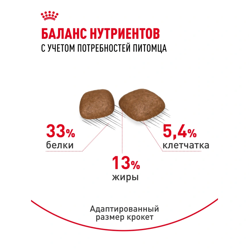 Сухой корм Royal Canin Urinary Care для поддержания здоровья мочевыделительной системы кошек, 4 кг фото 21