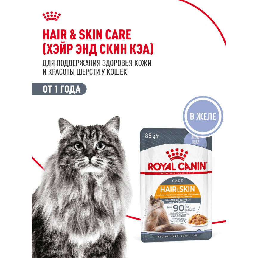 Влажный корм Royal Canin Hair & Skin Care в желе для взрослых кошек старше 1 года, пауч, 85 г фото 18