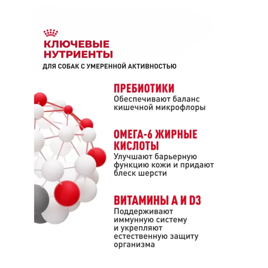 Сухой корм Royal Canin Club Adult Cс для взрослых собак, 20 кг фото 4
