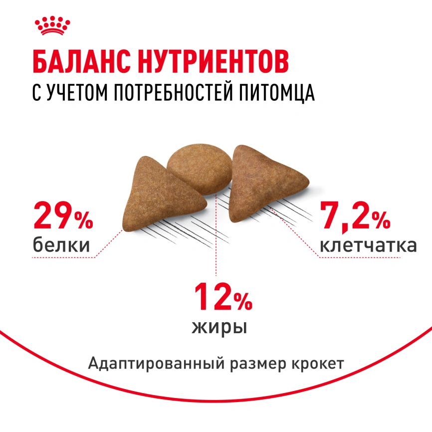 Сухой корм Royal Canin Indoor Appetite Control для кошек, 400 г фото 4