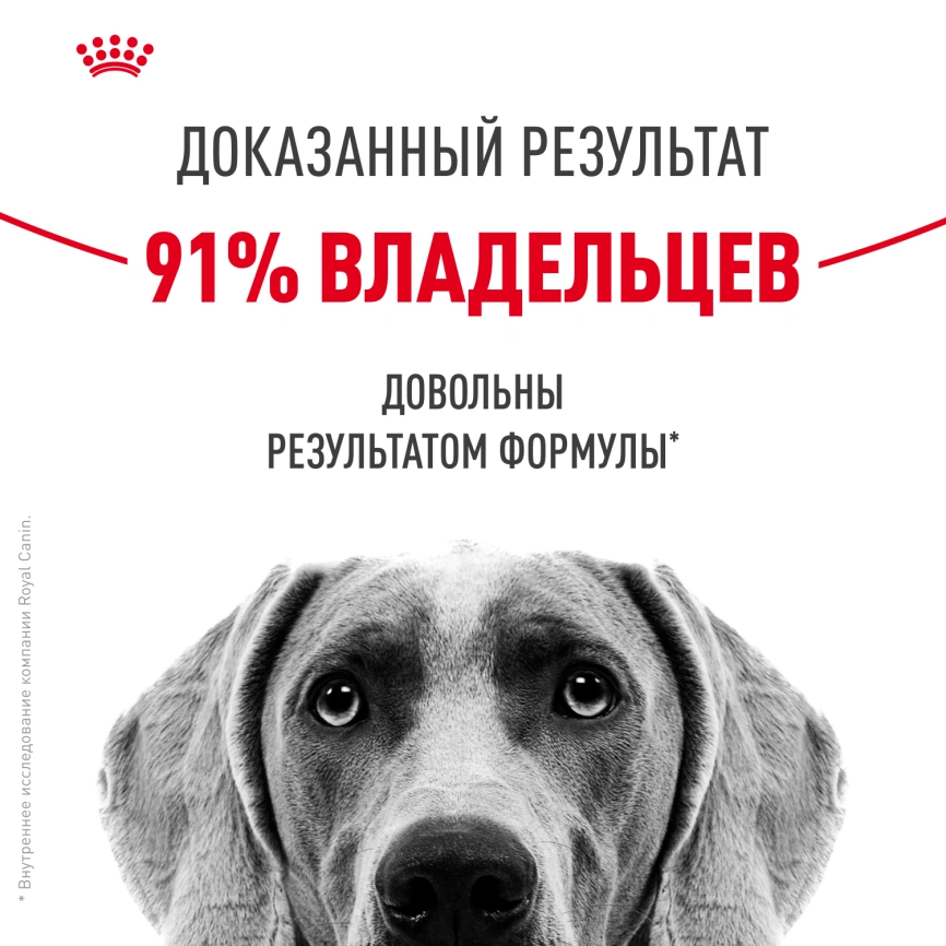 Сухой корм Royal Canin Medium Dermacomfort для собак, 10 кг фото 10