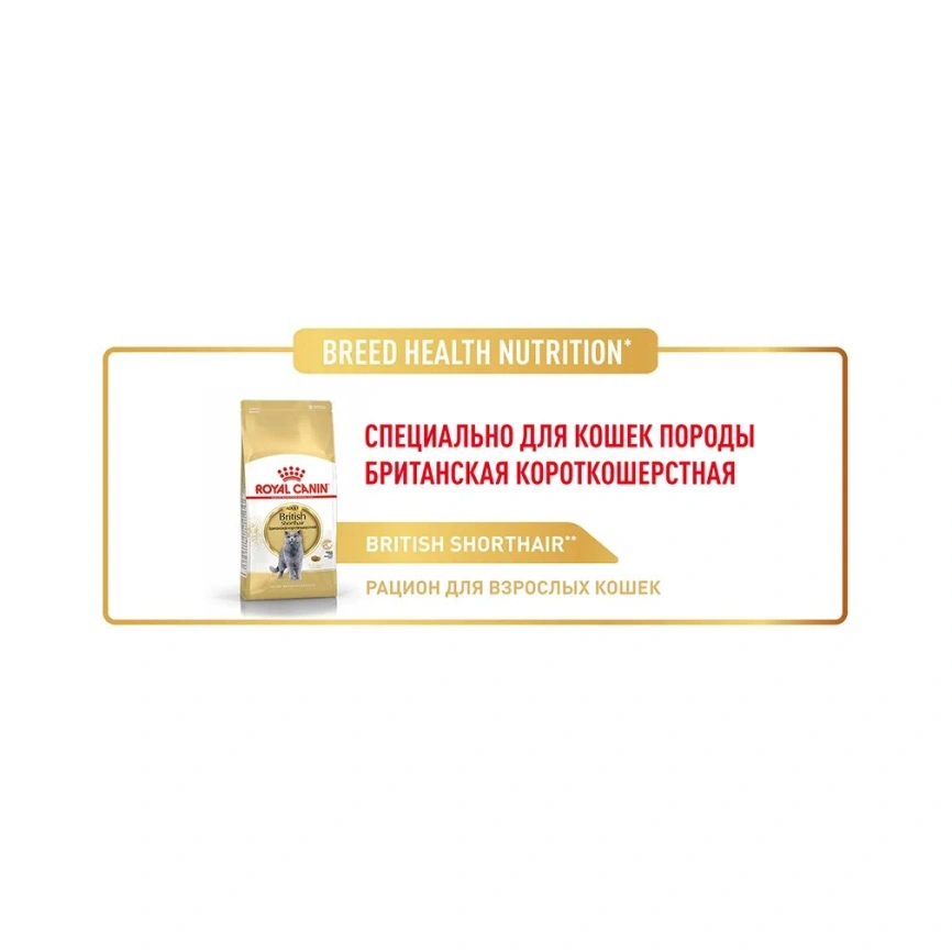 Сухой корм Royal Canin British Shorthair для кошек породы британская короткошерстная, 10 кг фото 22
