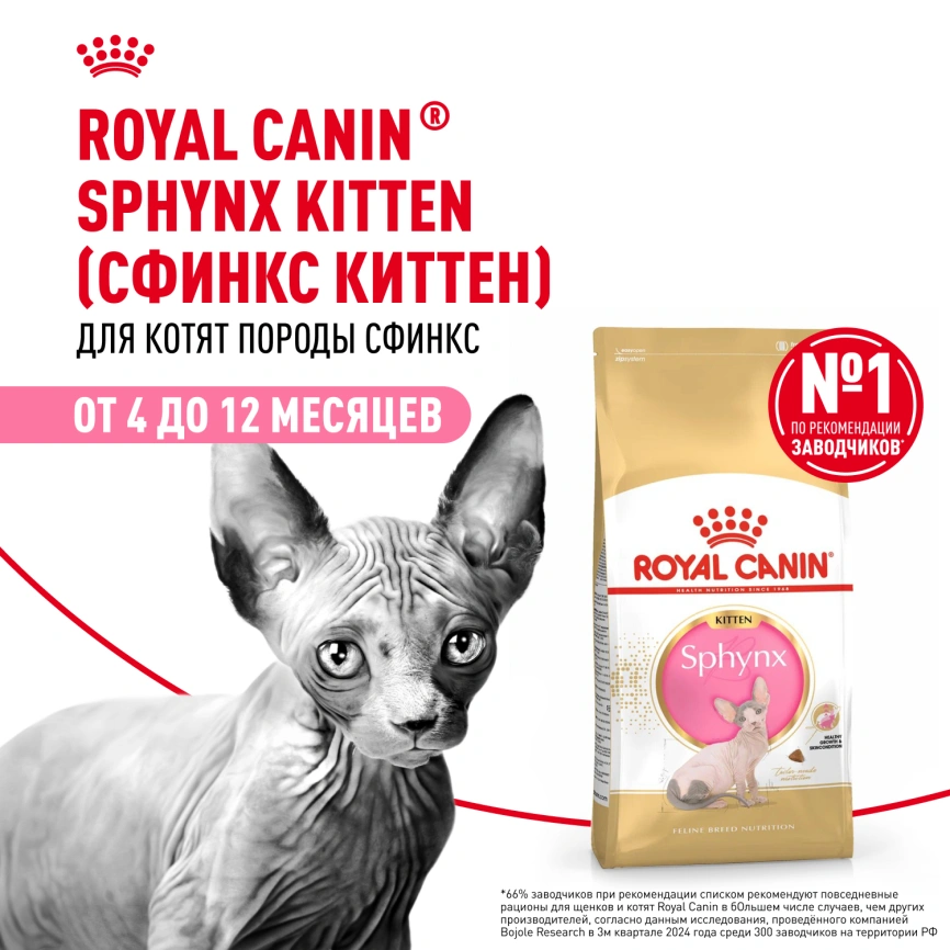 Сухой корм Royal Canin Sphynx Kitten для котят породы сфинкс до 12 месяцев, 400 г фото 13