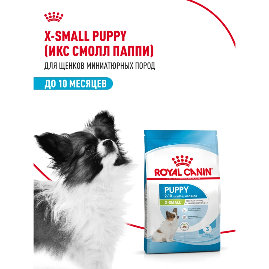 Сухой корм Royal Canin X-Small Puppy для щенков, 3 кг фото 15