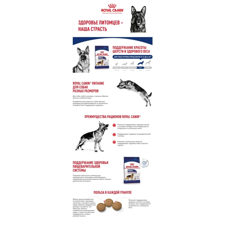 Сухой корм Royal Canin Maxi Adult для собак, 15 кг фото 10