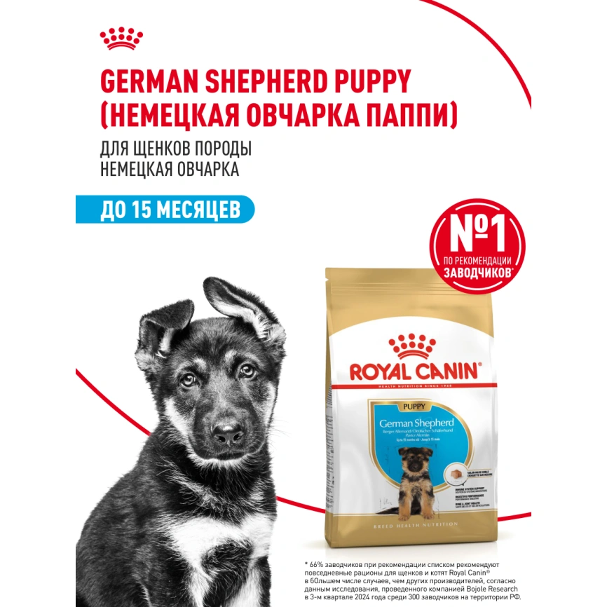 Сухой корм Royal Canin German Shepherd Puppy для щенков, 3 кг фото 12