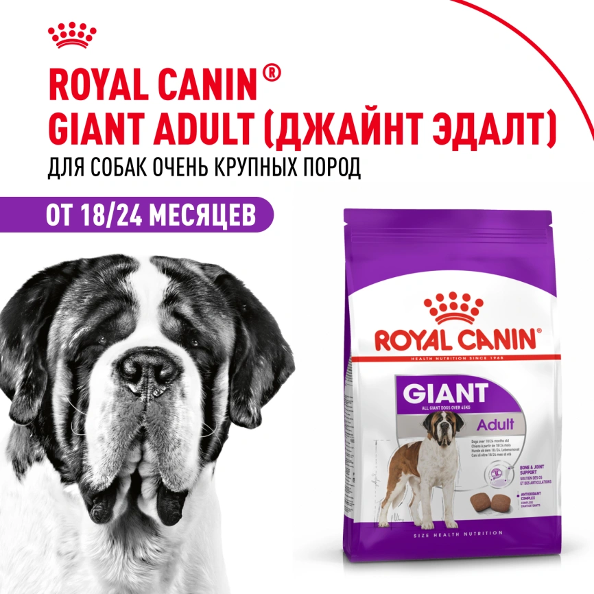 Сухой корм Royal Canin Giant Adult для собак, 4 кг фото 11