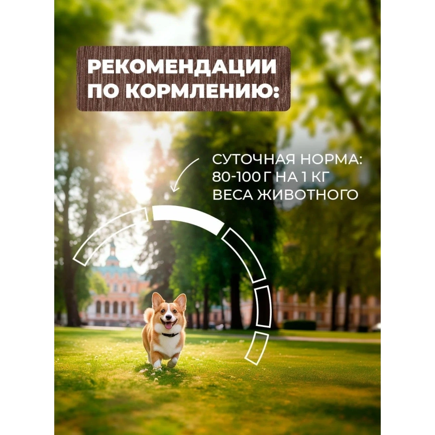Влажный корм Родные корма для собак, куриные кусочки в соусе по-курски, 970 г фото 5