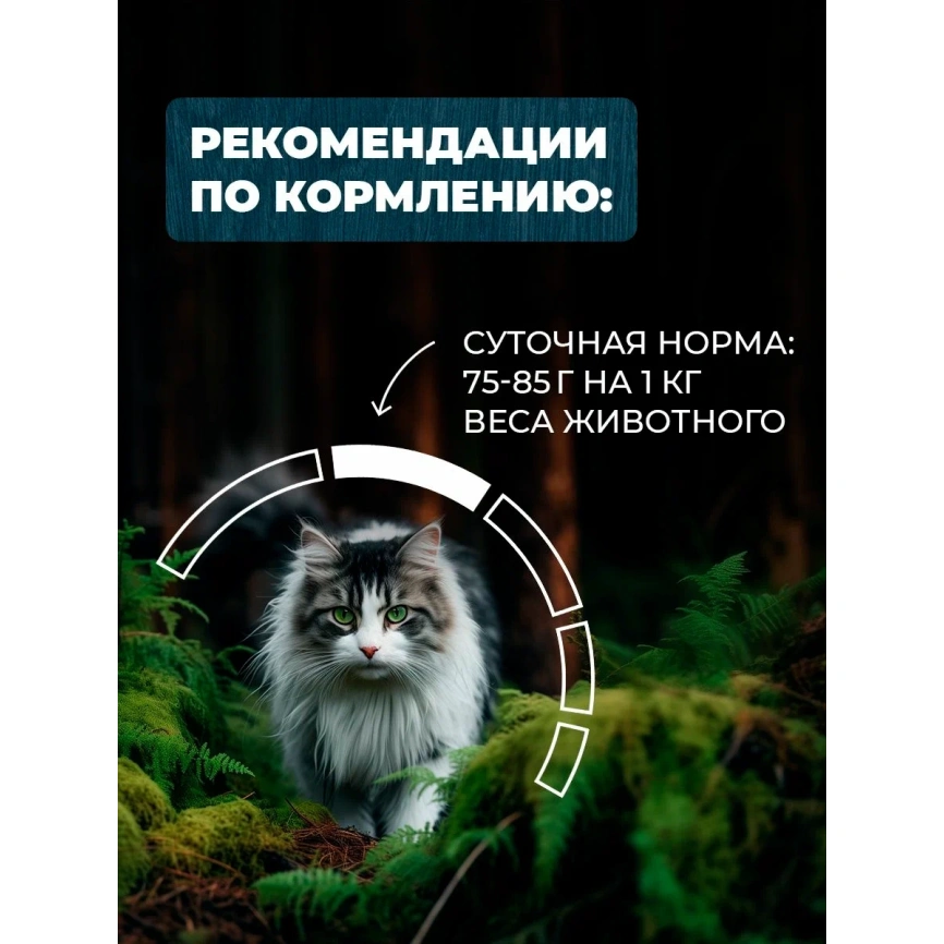 Влажный корм Родные корма Beef & Liver для стерилизованных кошек и кастрированных котов, с говядиной и печенью кусочки в желе по-таежному, 85 г фото 4