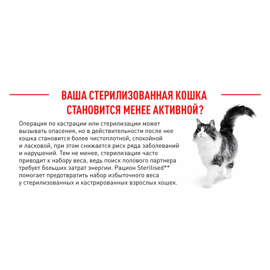 Сухой корм Royal Canin Sterilised для кастрированных котов и стерилизованных кошек, 400 г фото 4