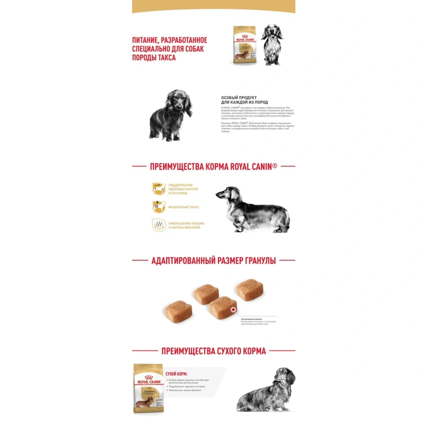 Сухой корм Royal Canin Dachshund Adult для собак породы такса, 1,5 кг фото 11