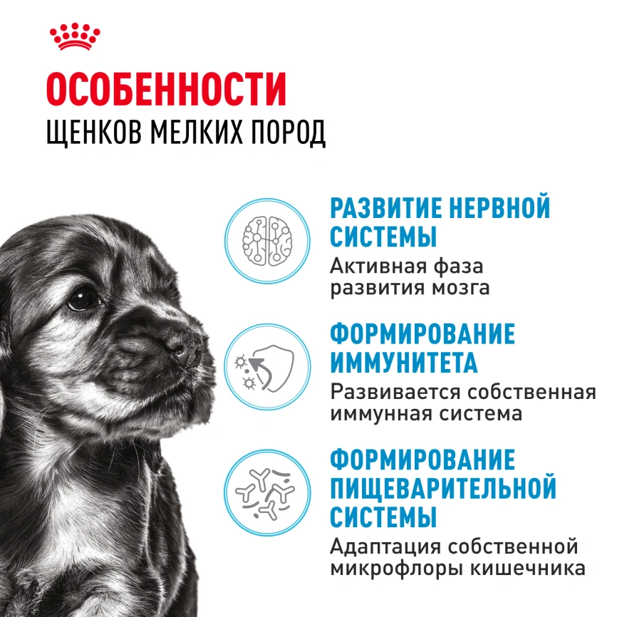 Сухой корм Royal Canin Mini Puppy для щенков, 800 г фото 2
