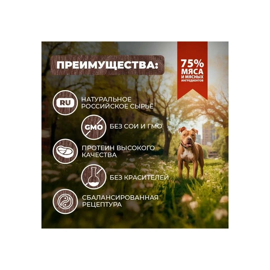 Влажный корм Родные корма для собак, скоблянка мясная по-городецки, 410 г фото 2