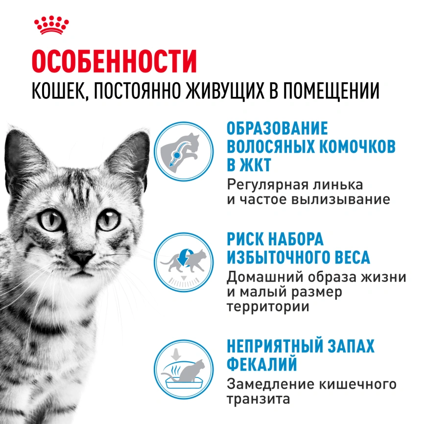Сухой корм Royal Canin Indoor для кошек, 4 кг фото 2