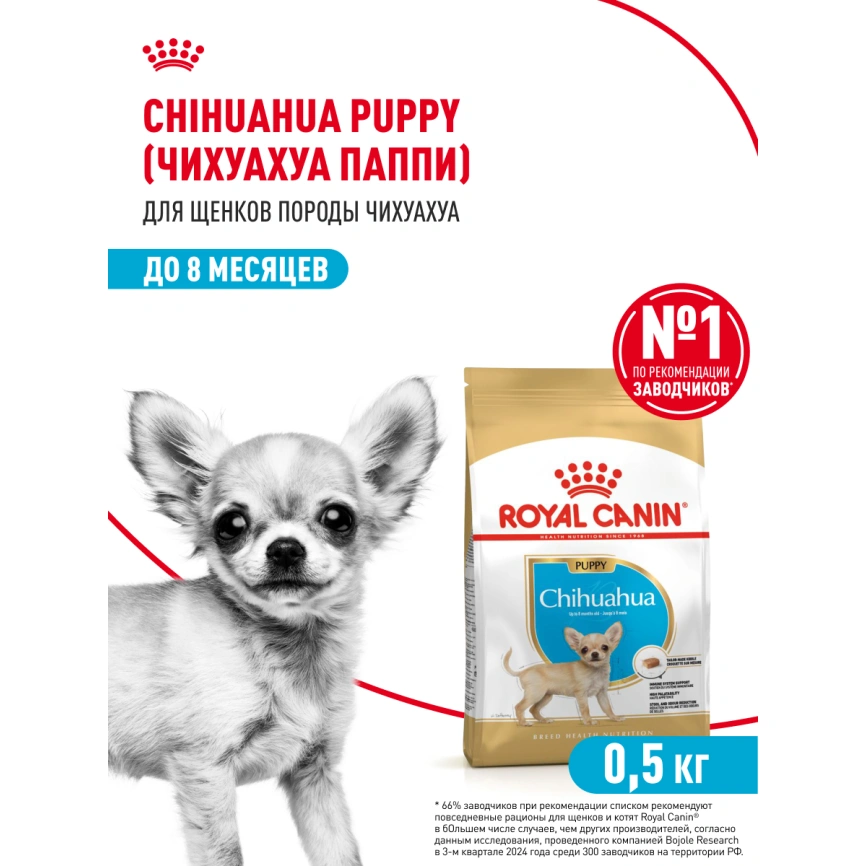Сухой корм Royal Canin Chihuahua Puppy для щенков породы чихуахуа, 500 г фото 15