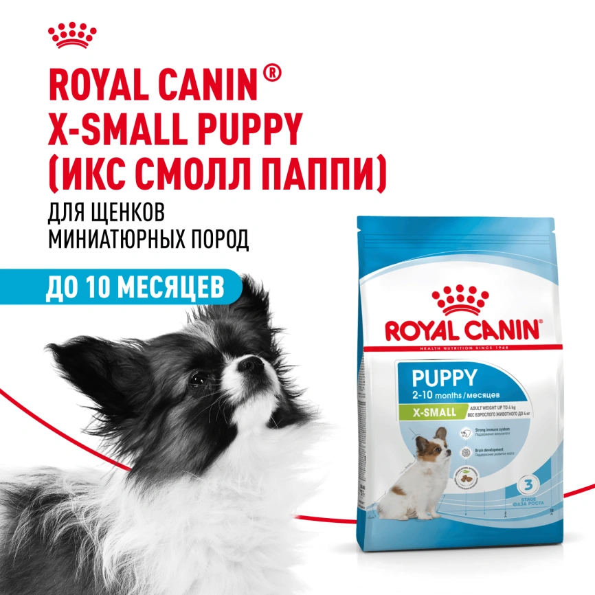 Сухой корм Royal Canin X-Small Puppy для щенков, 1,5 кг фото 15