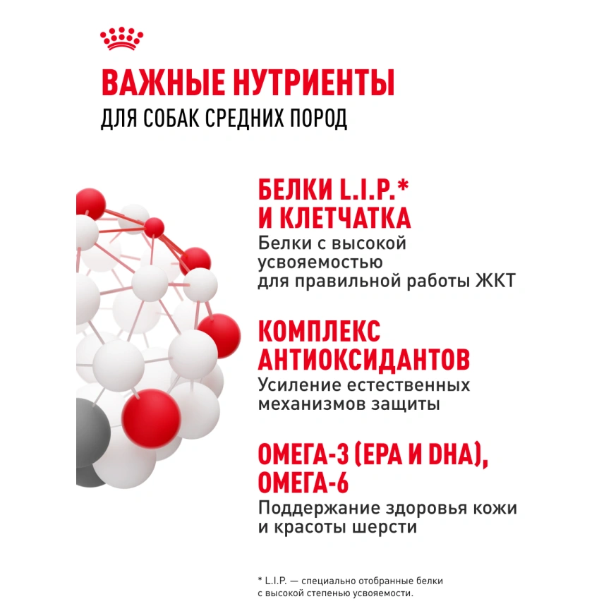 Сухой корм Royal Canin Medium Adult для собак, 15 кг фото 17