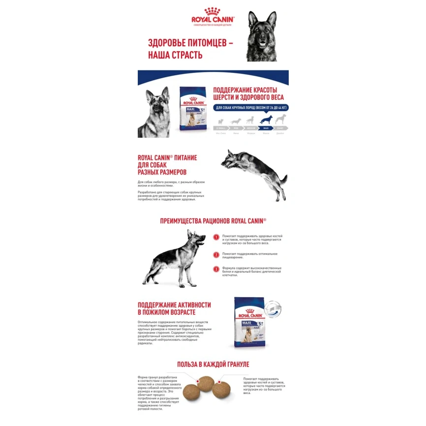 Сухой корм Royal Canin Maxi Adult 5+ для собак, 4 кг фото 10