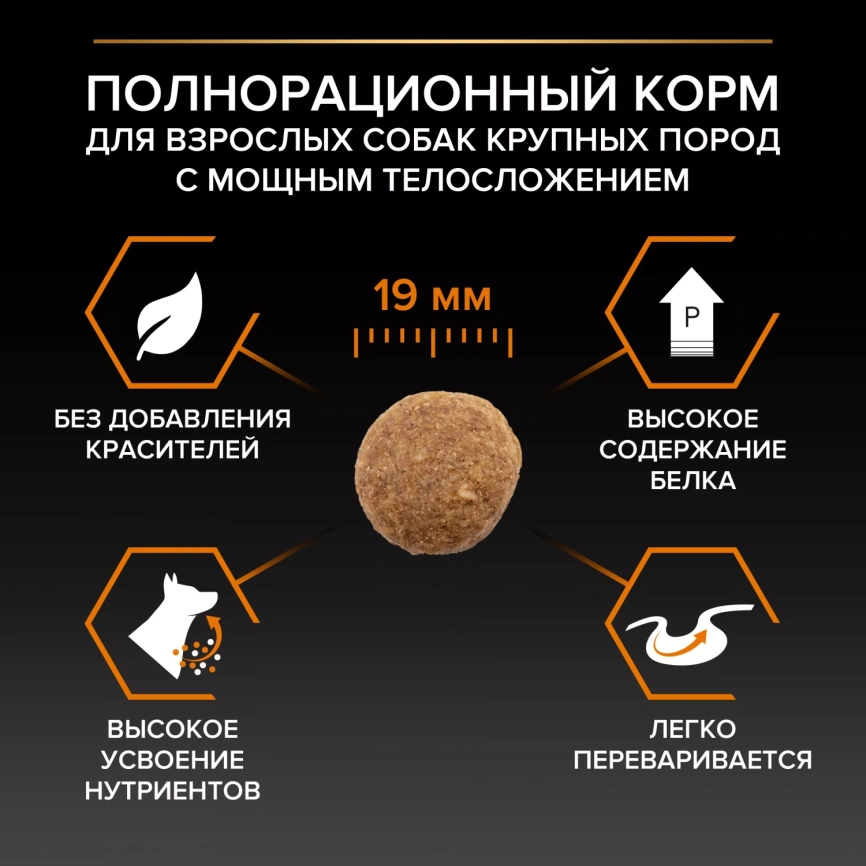 Сухой корм PRO PLAN Chicken для взрослых собак крупных пород с мощным телосложением, с высоким содержанием курицы, 14 кг фото 3
