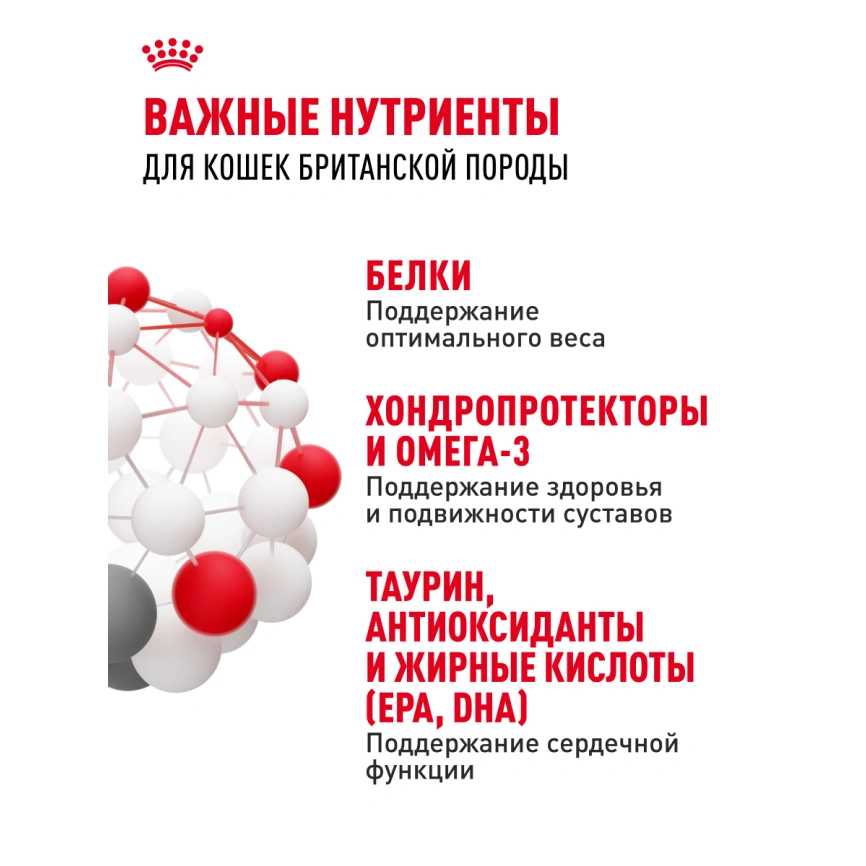 Сухой корм Royal Canin British Shorthair для кошек породы британская короткошерстная, 10 кг фото 24