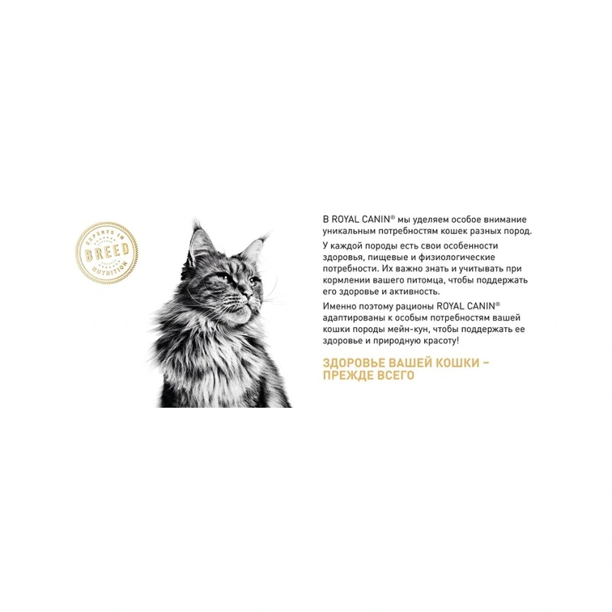 Сухой корм Royal Canin Maine Coon для кошек, 400 г фото 17
