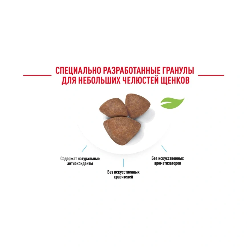Сухой корм Royal Canin Mini Puppy для щенков, 2 кг фото 15