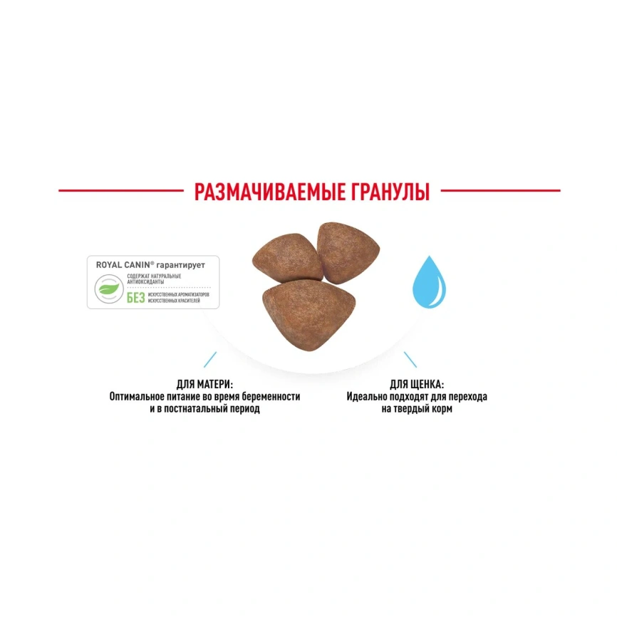 Сухой корм Royal Canin Mini Starter Mother & Babydog для щенков и кормящих сук, 1 кг фото 16