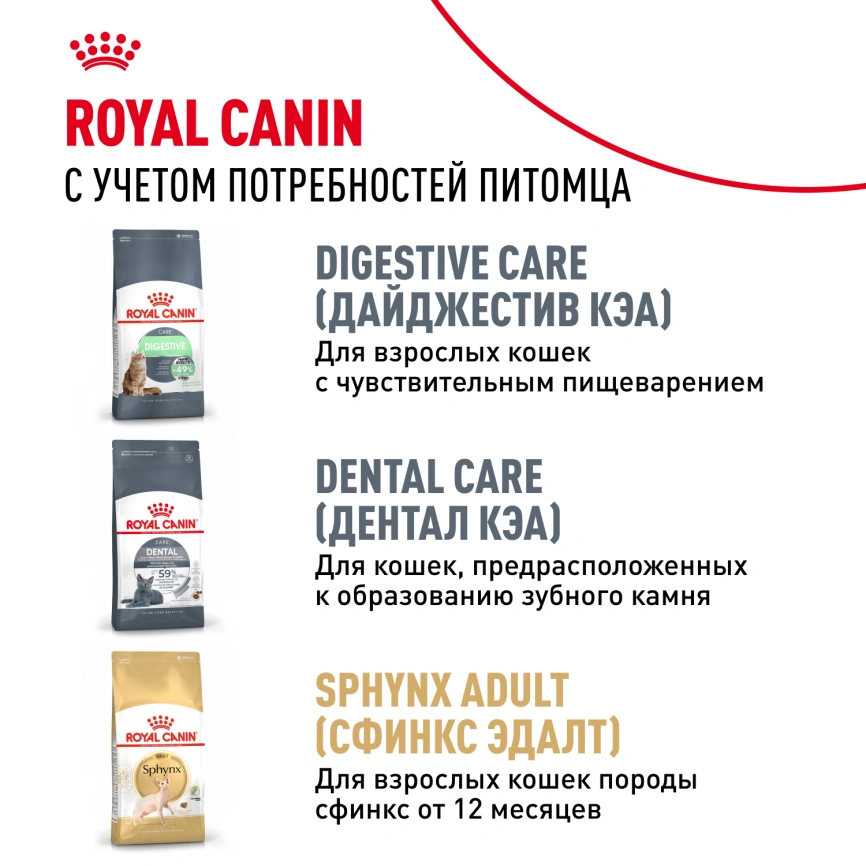 Сухой корм Royal Canin Sphynx Kitten для котят породы сфинкс до 12 месяцев, 400 г фото 10