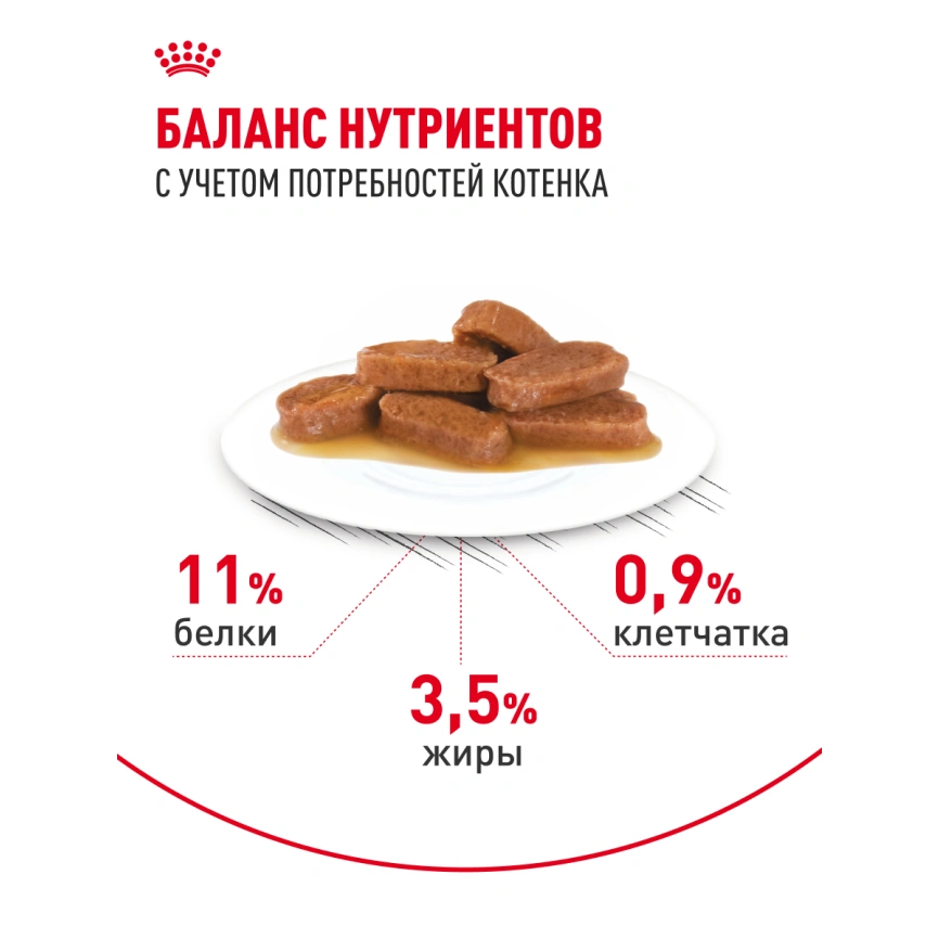 Влажный корм Royal Canin Maine Coon Kitten в соусе для котят породы мейн-кун и других крупных пород старше 3 месяцев, пауч, 85 г фото 20