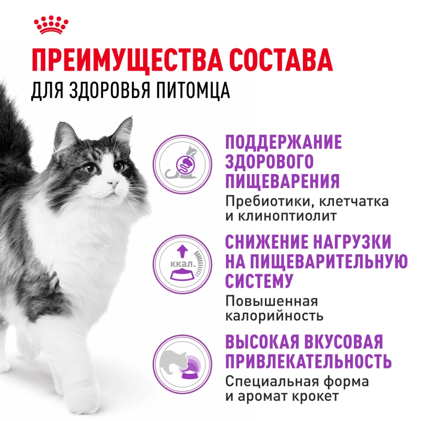 Сухой корм Royal Canin Sensible для кошек, 4 кг фото 3