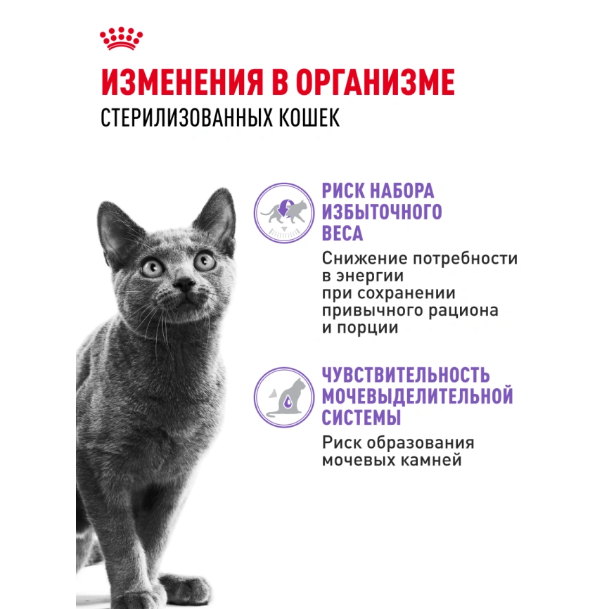 Влажный корм Royal Canin Sterilised в желе для стерилизованных кошек старше 1 года, пауч, 85 г фото 2
