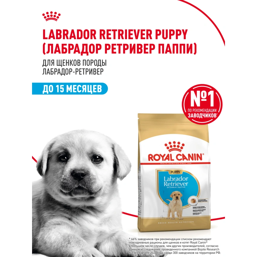 Сухой корм Royal Canin Labrador Retriever Puppy для щенков, 12 кг фото 13