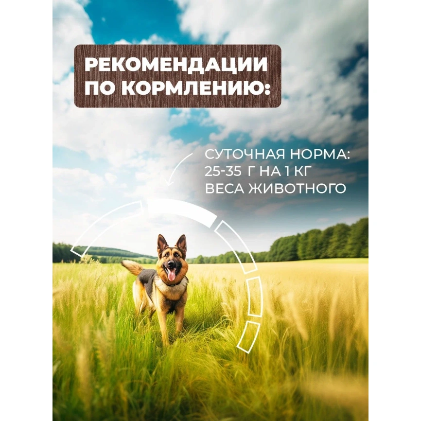 Влажный корм Родные корма Beef & Vegetables для собак, говядина с овощами по-казацки, 970 г фото 5