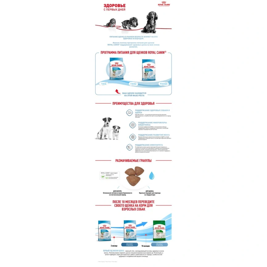 Сухой корм Royal Canin Mini Starter Mother & Babydog для щенков и кормящих сук, 8,5 кг фото 10